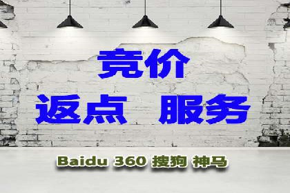 推广竞价实战经验：成功案例分享与启示